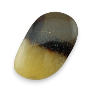 Septaria kaboszon 20x12 mm nr 165
