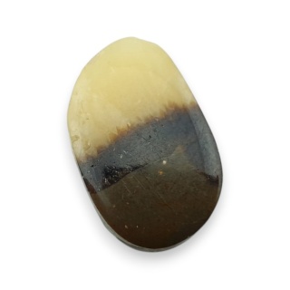 Septaria kaboszon 20x12 mm nr 165