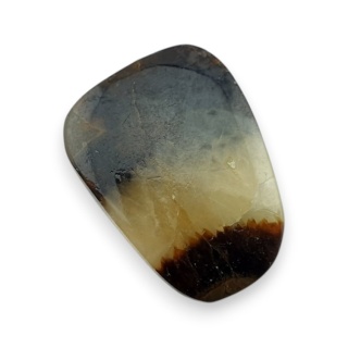 Septaria kaboszon 20x15 mm nr 162