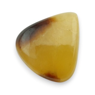 Septaria kaboszon 21x19 mm nr 158