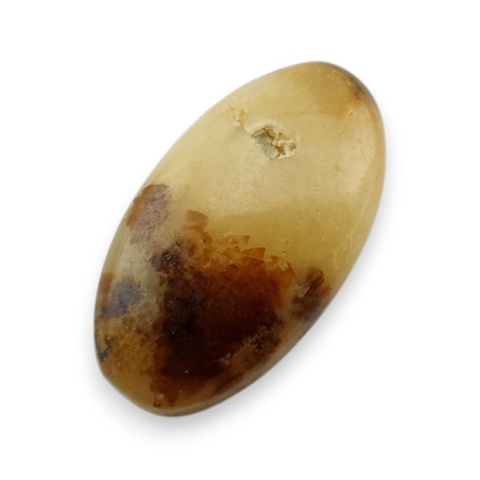 Septaria kaboszon 22x12 mm nr 155