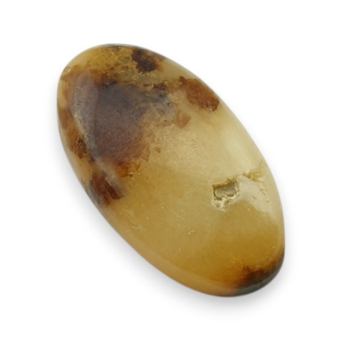 Septaria kaboszon 22x12 mm nr 155