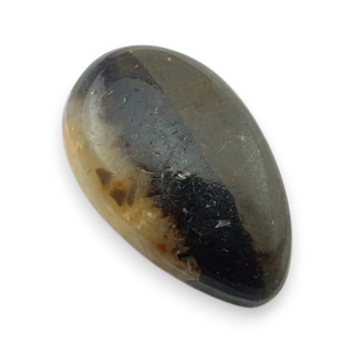 Septaria kaboszon 22x13 mm nr 151