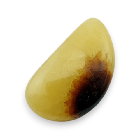 Septaria kaboszon 23x14 mm nr 164