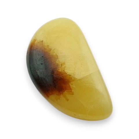 Septaria kaboszon 23x14 mm nr 164