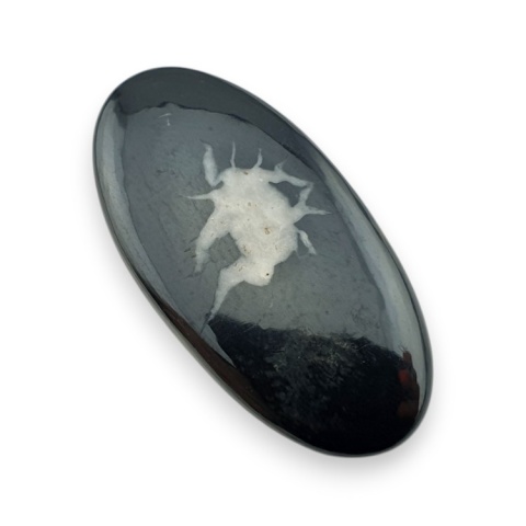 Septaria cabochon 38x19 mm no 86