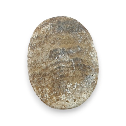 Aragonit kaboszon 26x19 mm nr 101