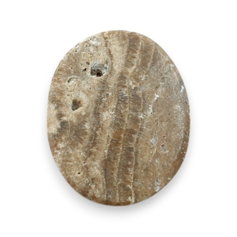 Aragonite cabochon 26x21 mm no 78
