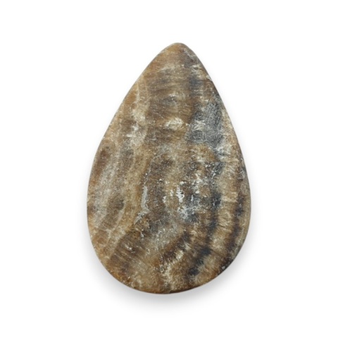 Aragonite cabochon 29x18 mm no 116