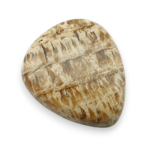Aragonit kaboszon 30x26 mm nr 66