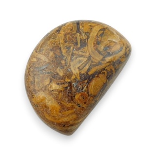 Jaspis mariam kaboszon 22x15 mm nr 105