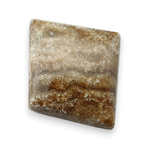 Aragonite cabochon 22x21 mm no 142