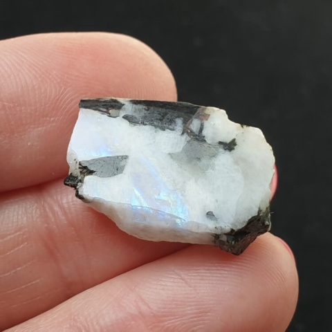 Kamień księżycowy kawałek polerowany 22x15 mm nr 339