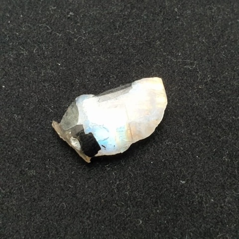 Kamień księżycowy kawałek polerowany 23x14 mm nr 386