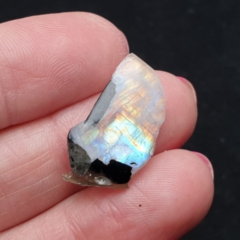 Kamień księżycowy kawałek polerowany 23x14 mm nr 386