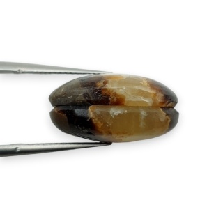 Septaria para kaboszonów z dziurką 18x13 mm nr R443