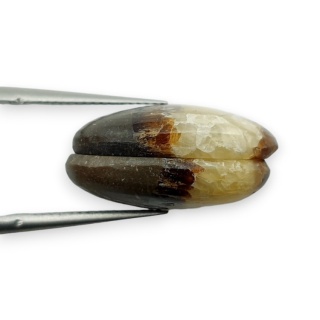Septaria para kaboszonów z dziurką 18x13 mm nr R472