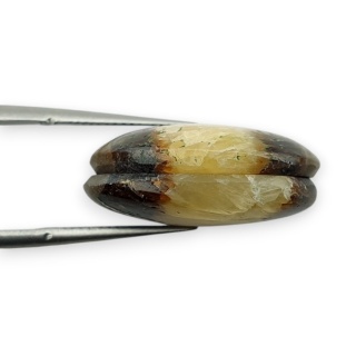 Septaria para kaboszonów z dziurką 20x15 mm nr R430