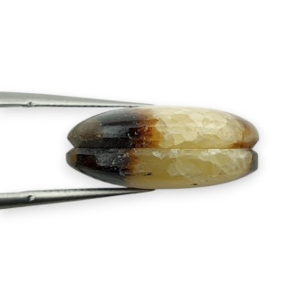 Septaria para kaboszonów z dziurką 20x15 mm nr R434