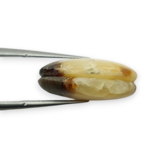 Septaria para kaboszonów z dziurką 20x15 mm nr R445