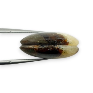 Septaria para kaboszonów z dziurką 20x15 mm nr R451