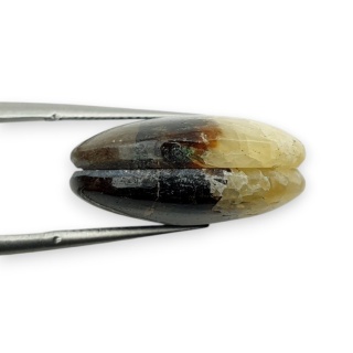 Septaria para kaboszonów z dziurką 20x15 mm nr R458