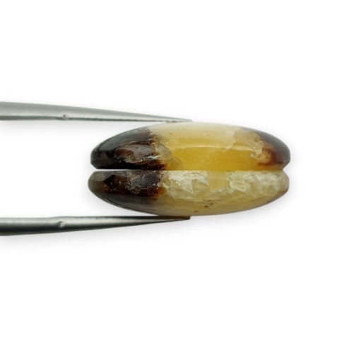 Septaria para kaboszonów z dziurką 20x15 mm nr R467