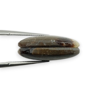 Septaria para kaboszonów z dziurką 20x15 mm nr R474