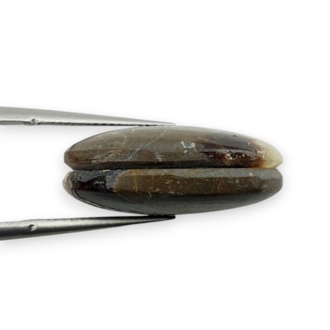 Septaria para kaboszonów z dziurką 20x15 mm nr R474