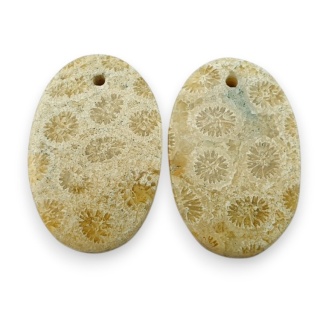 Fossil para kaboszonów z dziurką 21x13 mm nr R395