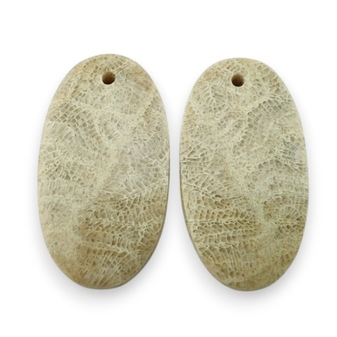 Fossil pair of cabochons with hole 23x12 mm no R382