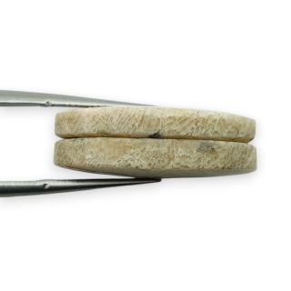 Fossil para kaboszonów z dziurką 23x12 mm nr R382