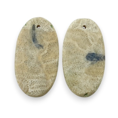 Fossil pair of cabochons with hole 23x12 mm no R382