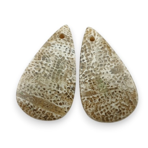 Fossil para kaboszonów z dziurką 23x13 mm nr R413