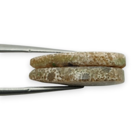 Fossil para kaboszonów z dziurką 23x13 mm nr R413