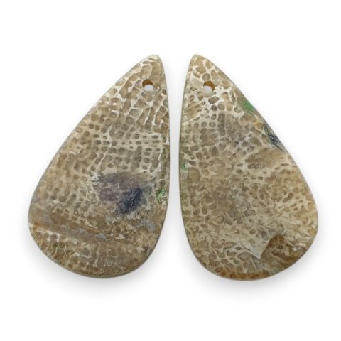 Fossil para kaboszonów z dziurką 23x13 mm nr R413