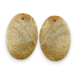 Fossil para kaboszonów z dziurką 23x15 mm nr R407