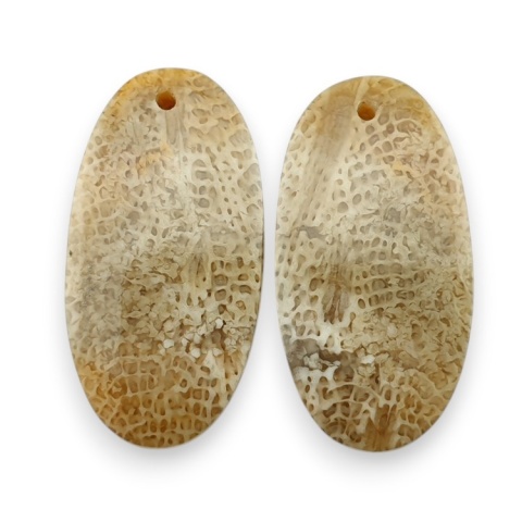 Fossil para kaboszonów z dziurką 24x12 mm nr R404