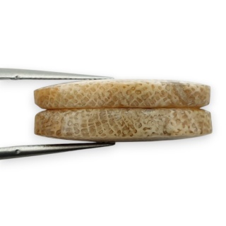 Fossil para kaboszonów z dziurką 24x12 mm nr R404