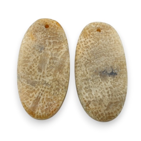 Fossil para kaboszonów z dziurką 24x12 mm nr R404