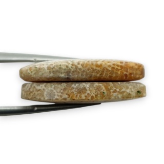 Fossil para kaboszonów z dziurką 24x13 mm nr R394