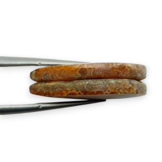 Fossil para kaboszonów z dziurką 24x13 mm nr R410