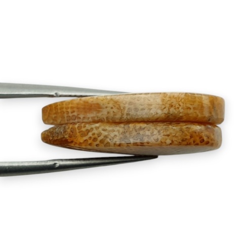 Fossil para kaboszonów z dziurką 24x13 mm nr R411