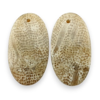 Fossil para kaboszonów z dziurką 25x13 mm nr R383