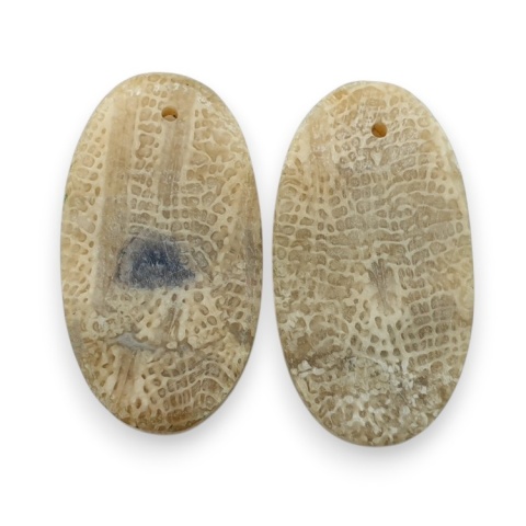 Fossil pair of cabochons with hole 25x13 mm no R383