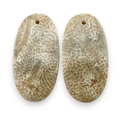 Fossil para kaboszonów z dziurką 25x13 mm nr R396