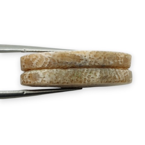 Fossil para kaboszonów z dziurką 25x13 mm nr R396