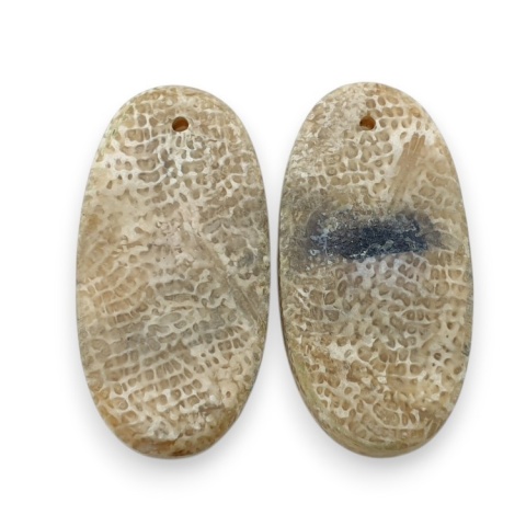 Fossil para kaboszonów z dziurką 25x13 mm nr R396