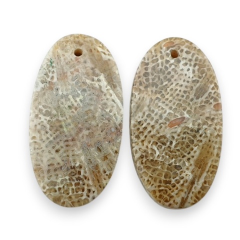 Fossil para kaboszonów z dziurką 25x13 mm nr R401