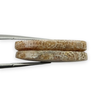 Fossil para kaboszonów z dziurką 25x13 mm nr R401